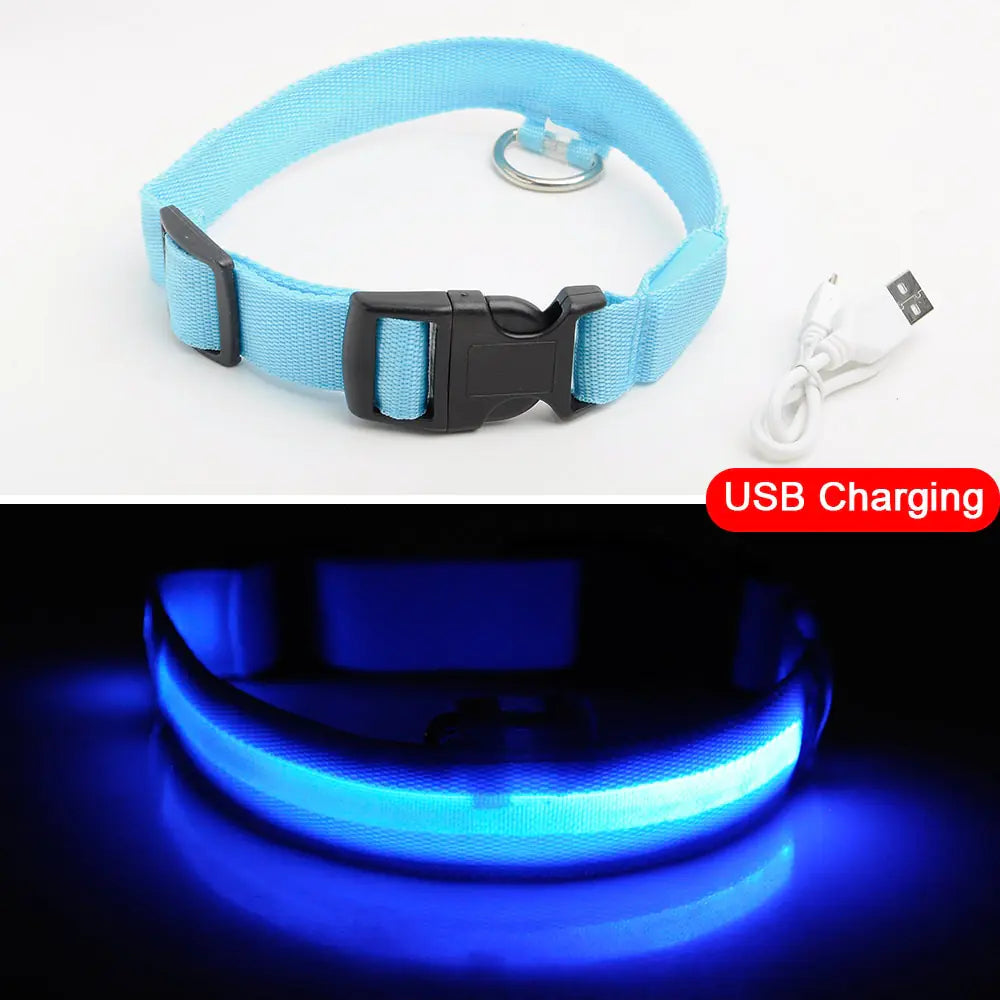 Led Dog Anti-Lost Collar