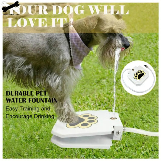 Automatic Dog Drinking Fountain