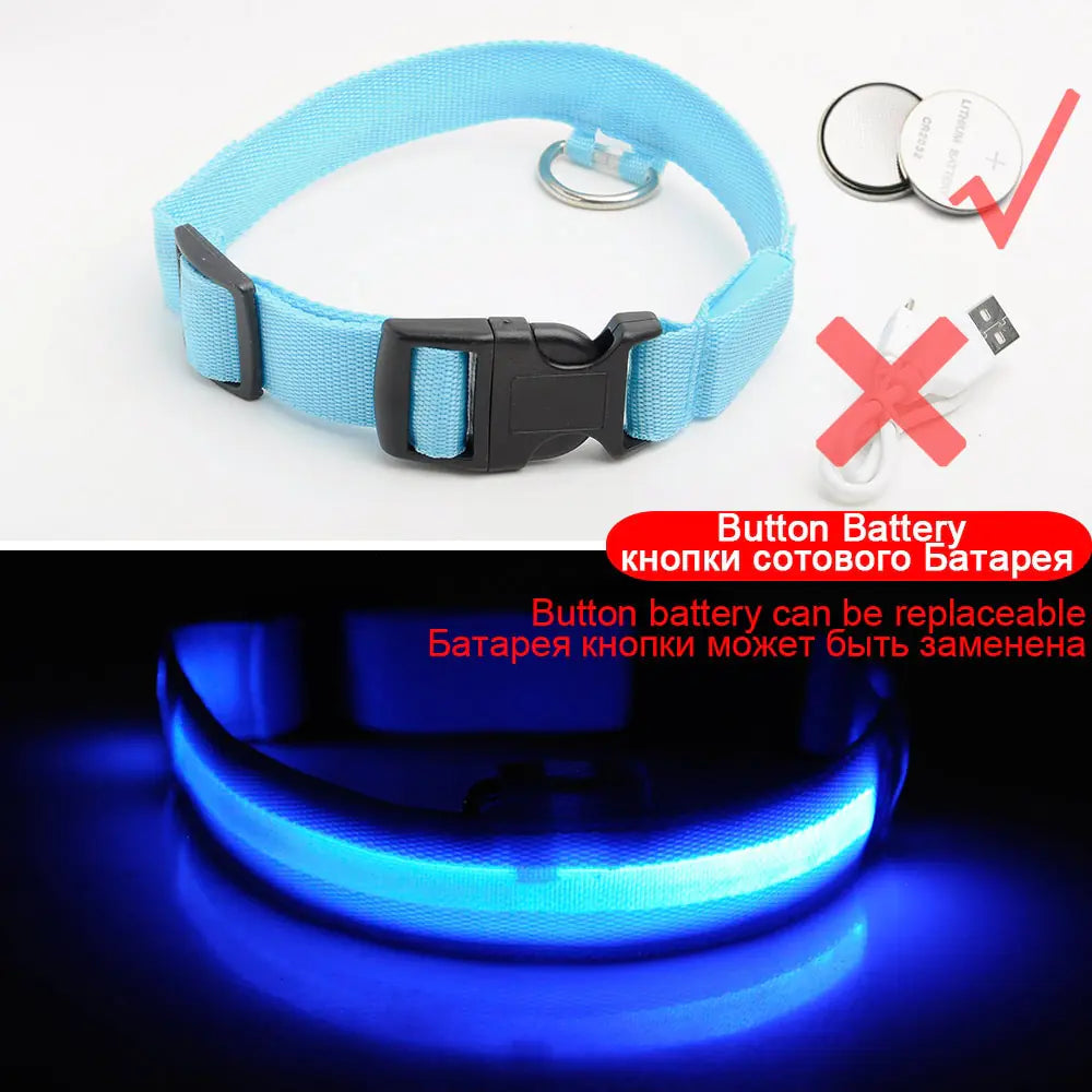 Led Dog Anti-Lost Collar