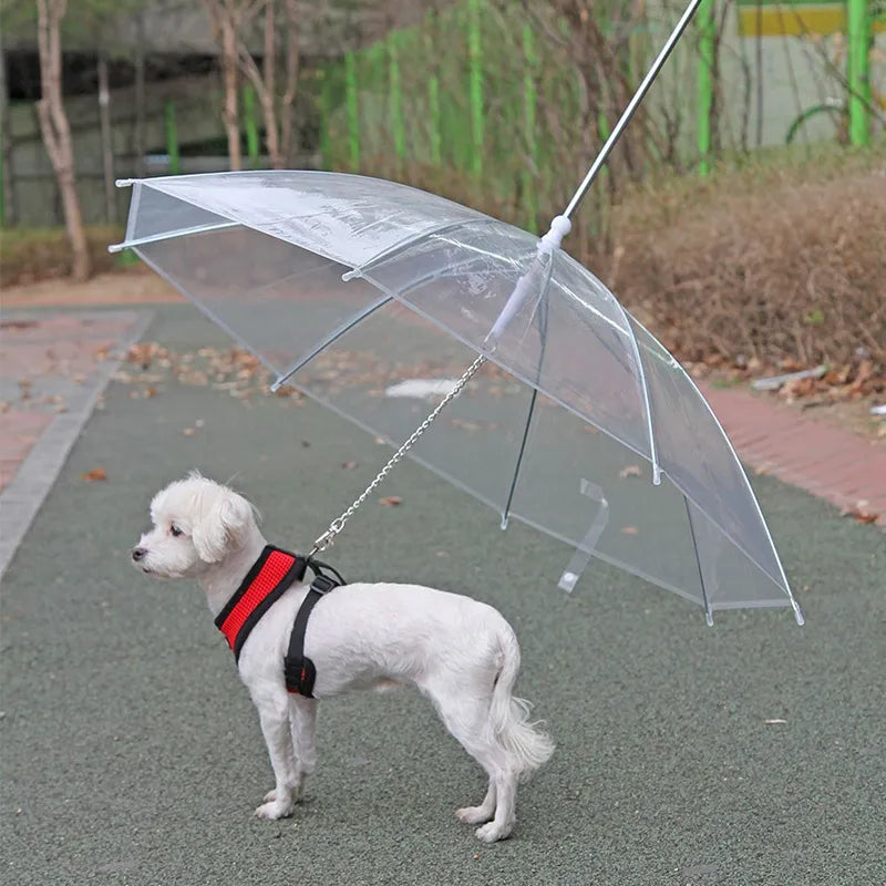 Creative Puppy Umbrella With Leash