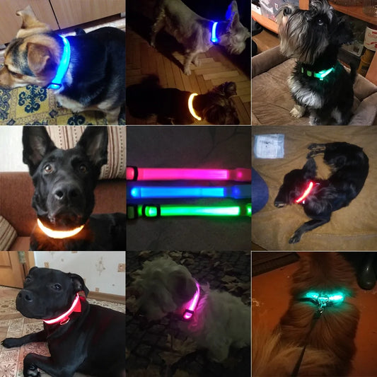 Led Dog Anti-Lost Collar