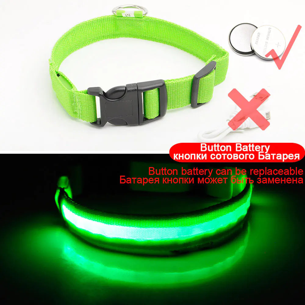 Led Dog Anti-Lost Collar