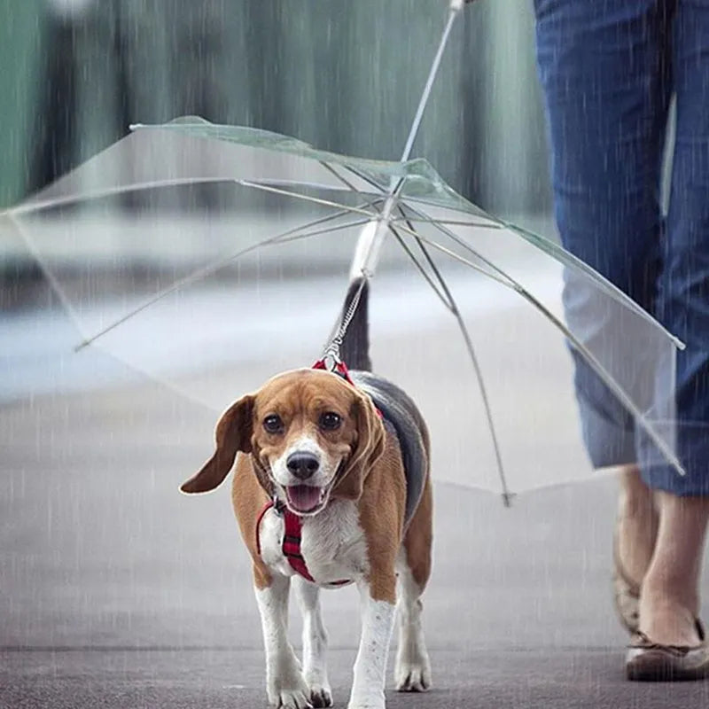 Creative Puppy Umbrella With Leash