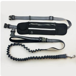 Handsfree Bungee Dog Leash