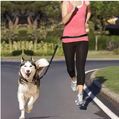 Handsfree Bungee Dog Leash