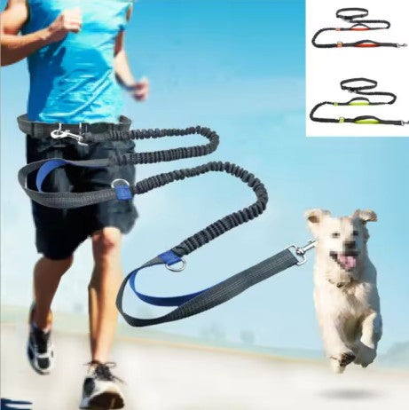 Handsfree Bungee Dog Leash