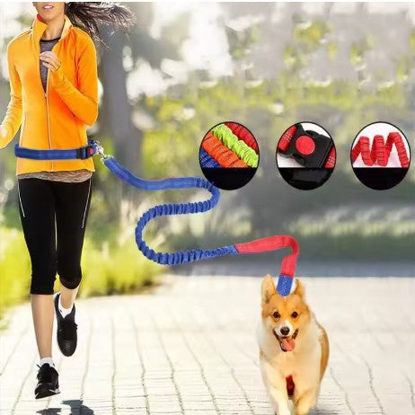 Handsfree Bungee Dog Leash