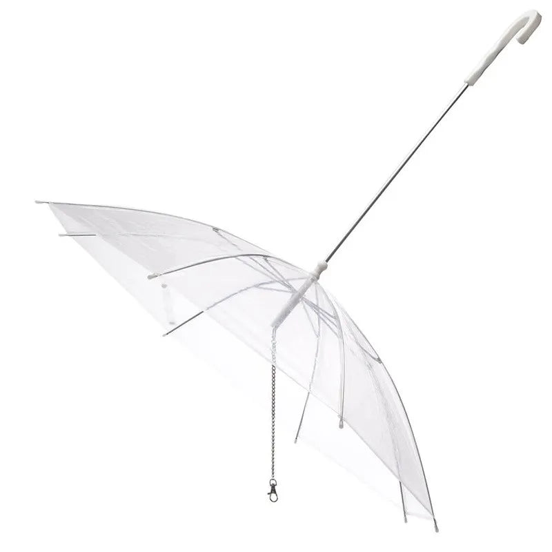 Creative Puppy Umbrella With Leash