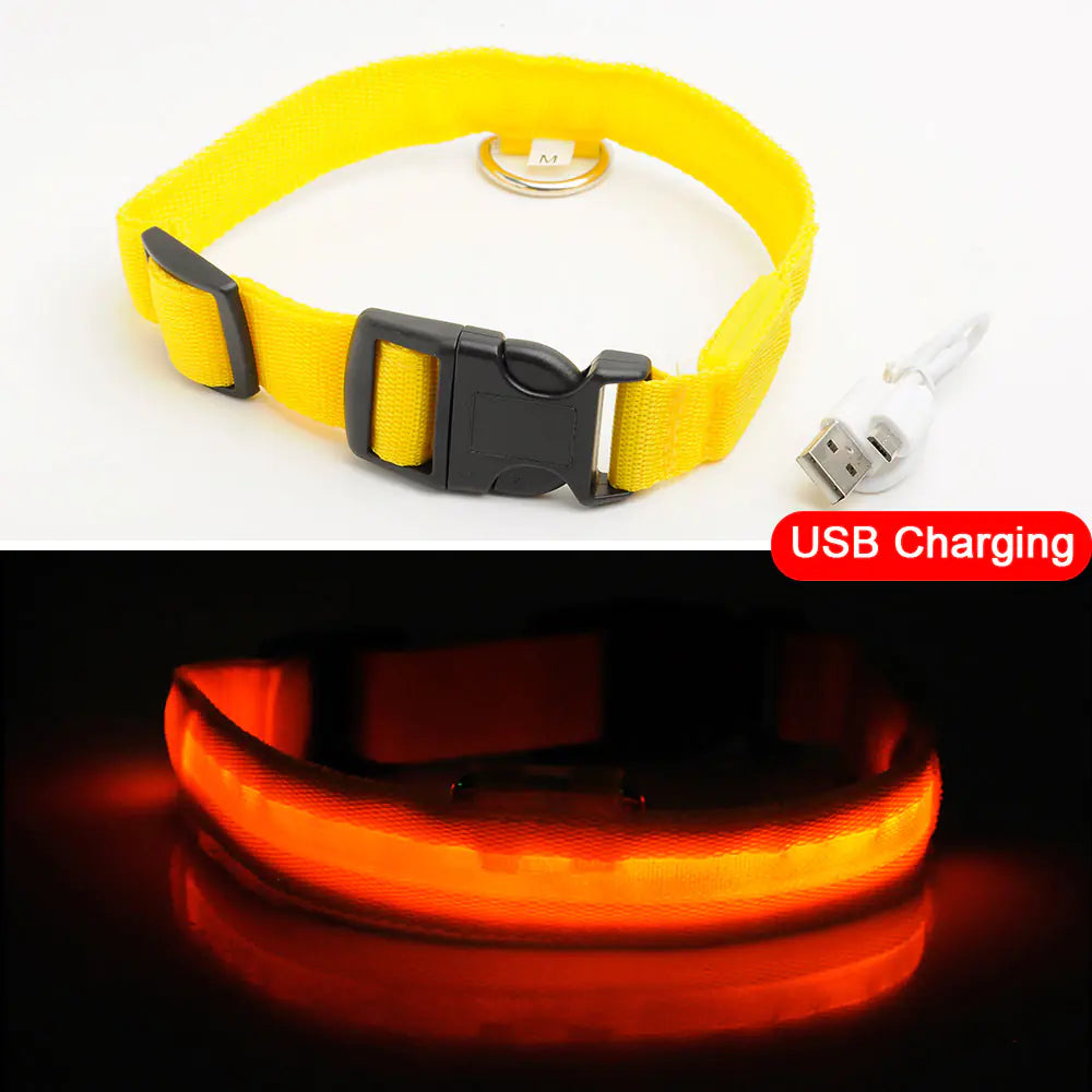 Led Dog Anti-Lost Collar