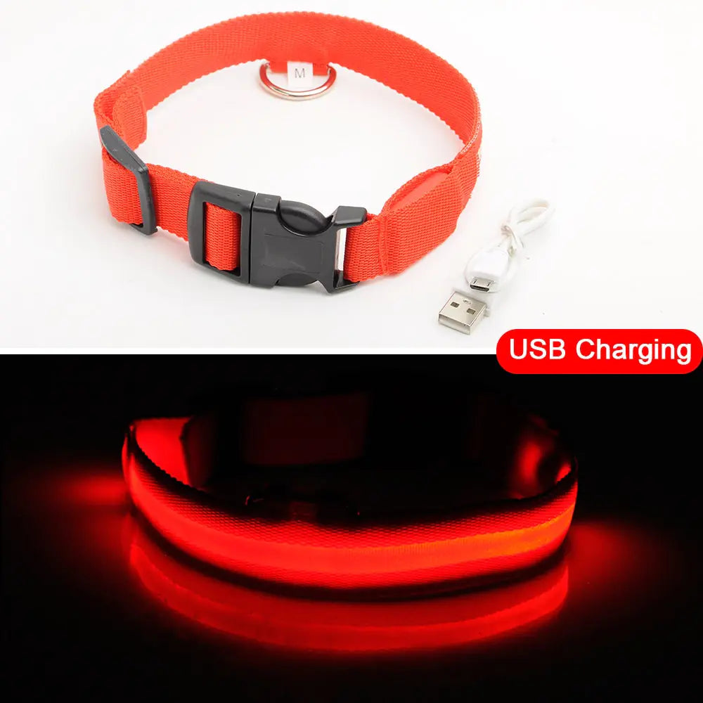 Led Dog Anti-Lost Collar