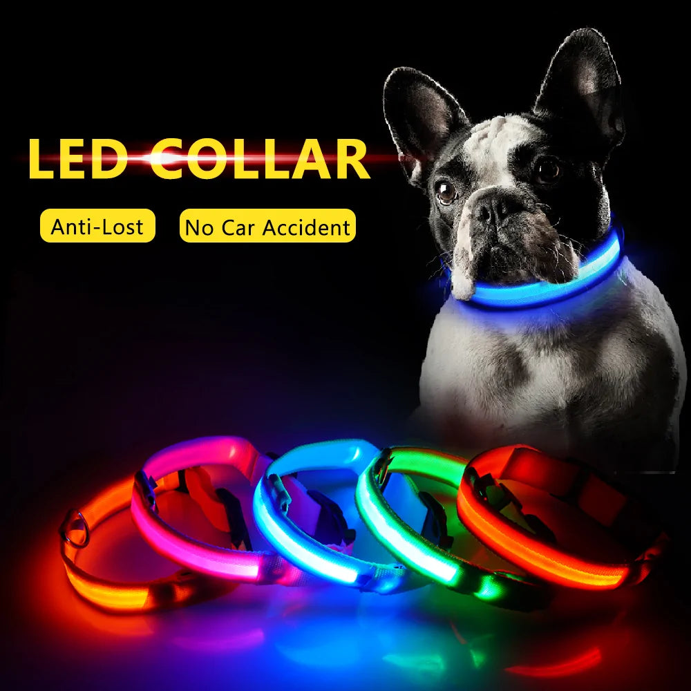 Led Dog Anti-Lost Collar