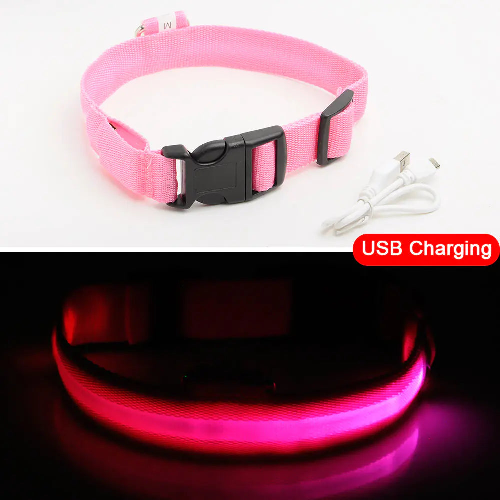 Led Dog Anti-Lost Collar