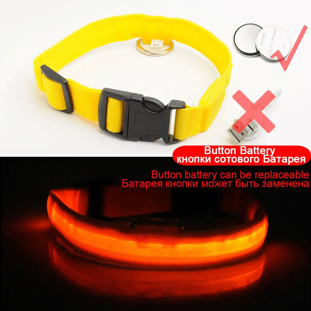 Led Dog Anti-Lost Collar