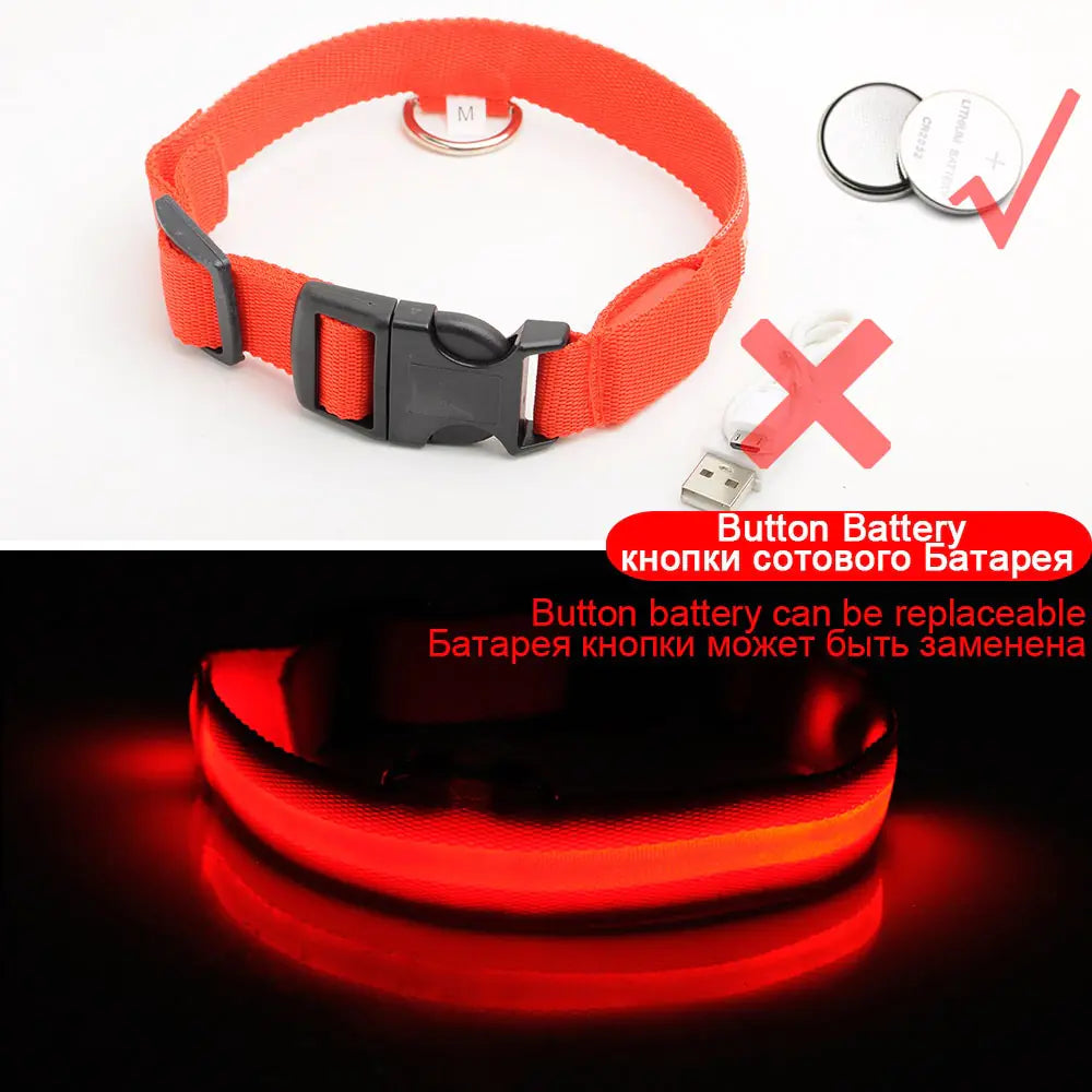 Led Dog Anti-Lost Collar