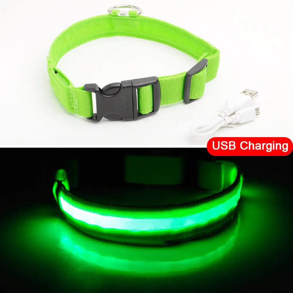 Led Dog Anti-Lost Collar